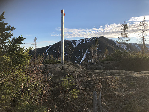 Fin utsikt fra toppen av Mont Olivine mot Mont Albert Sud (1154)