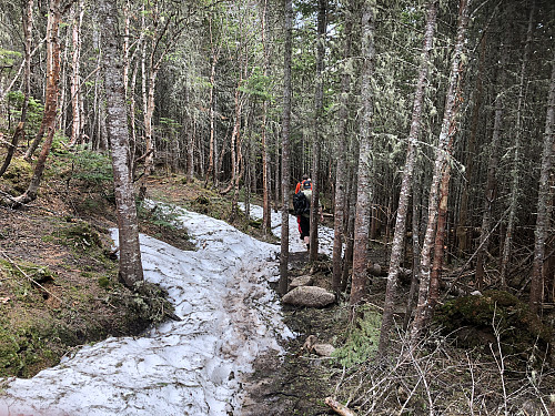 Litt snø lå fortsatt i stien