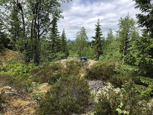 Geitstigen på Krokskogen