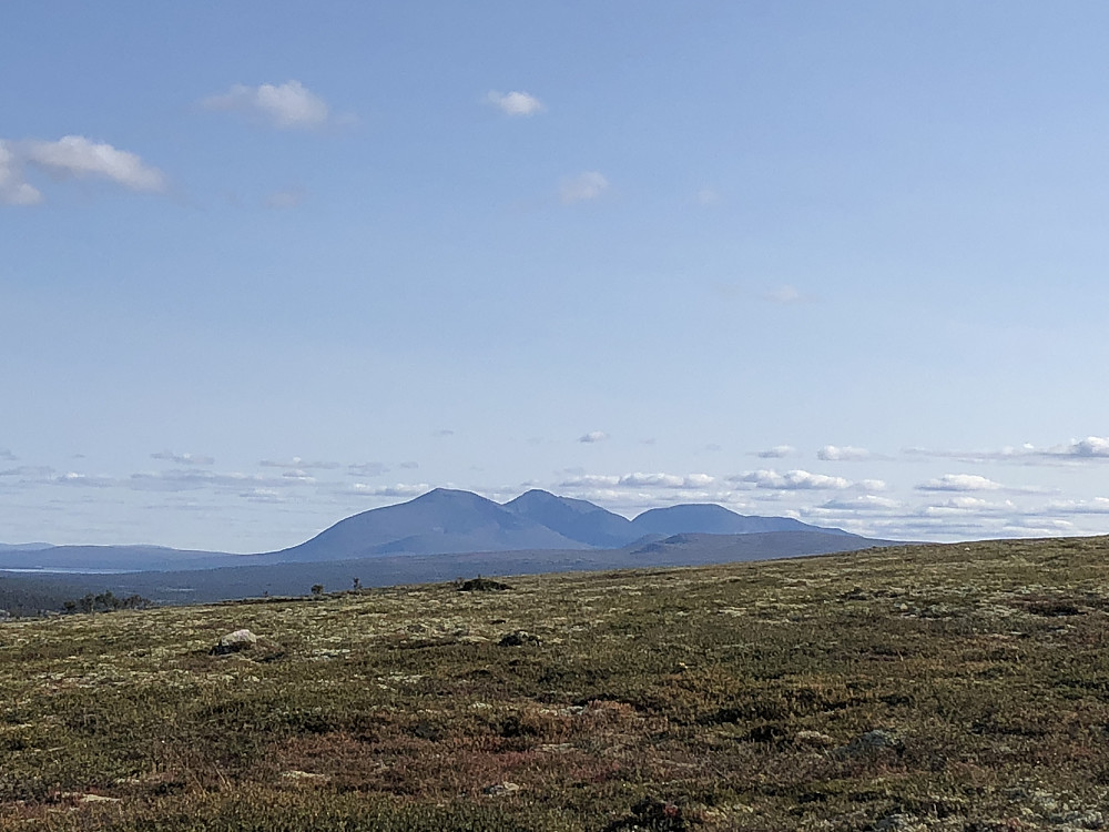 Sølen er majesteten blant fjellene i Nord Hedmark