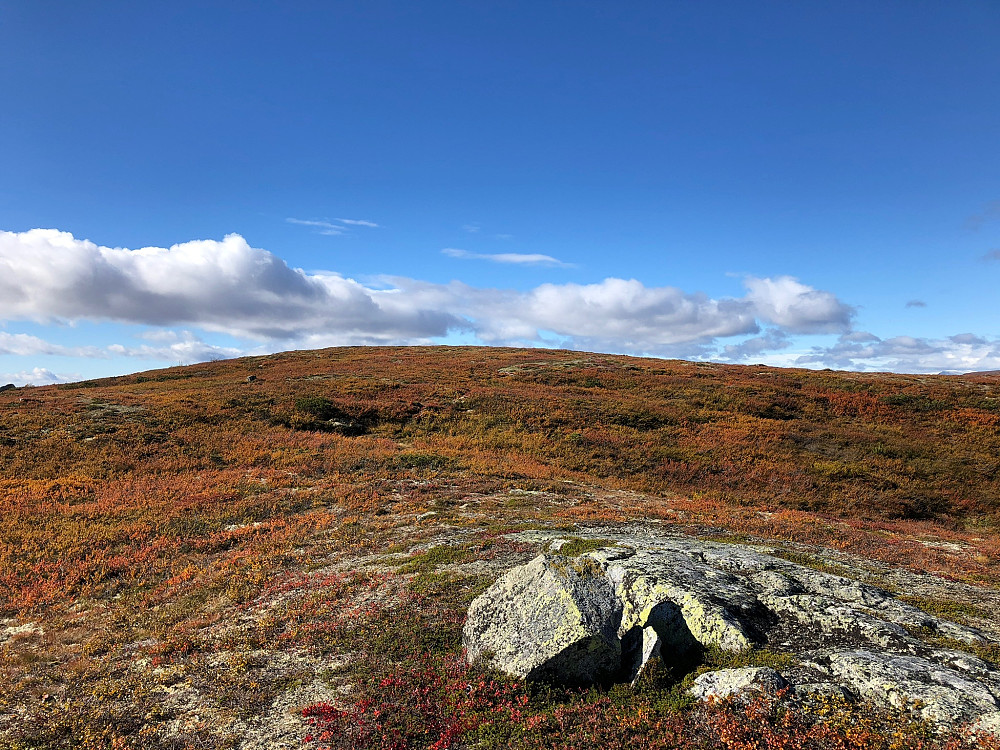 Fiskebufjellet sør