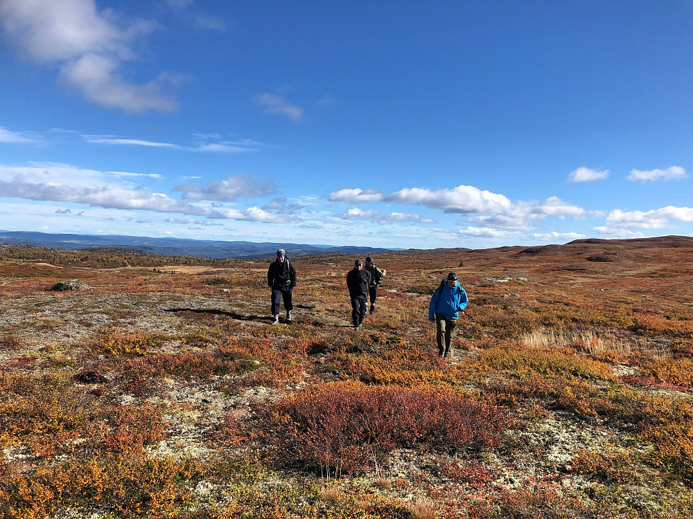 Turgjengen på veg opp til Fiskebufjellet sør. Nydelige høstfarger i fjellet
