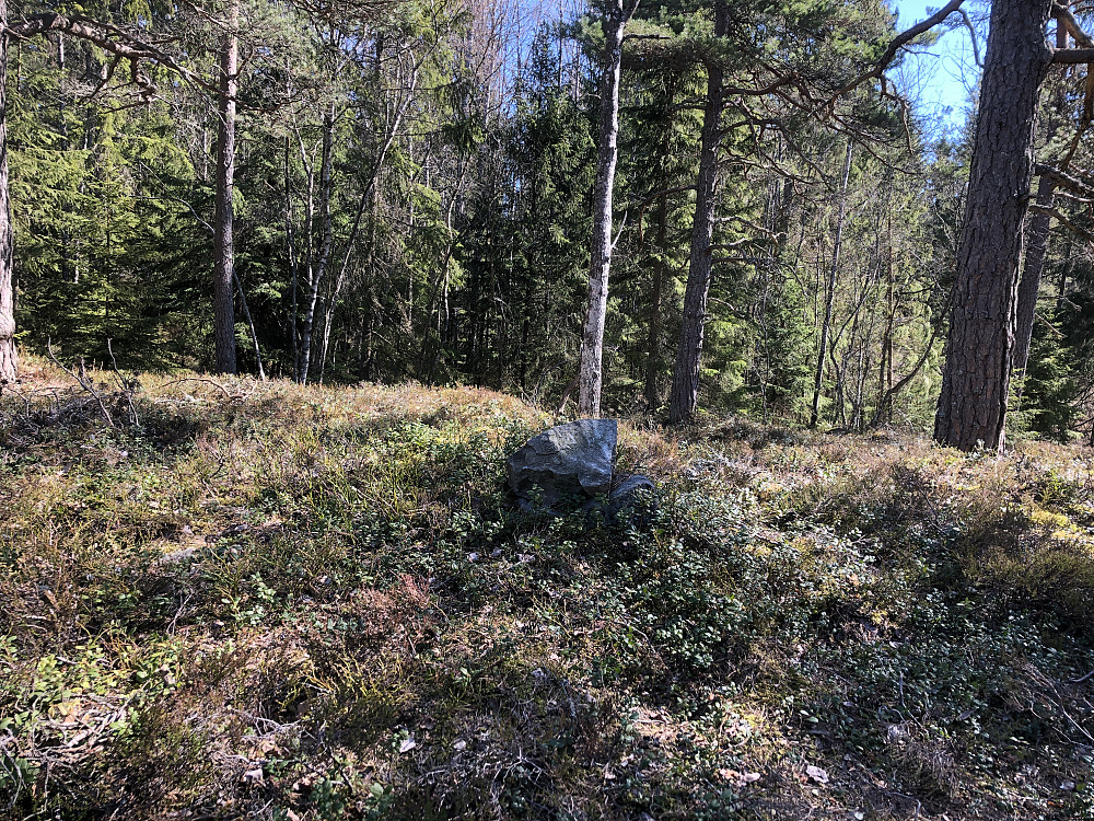 Høyåsen Nordvest
