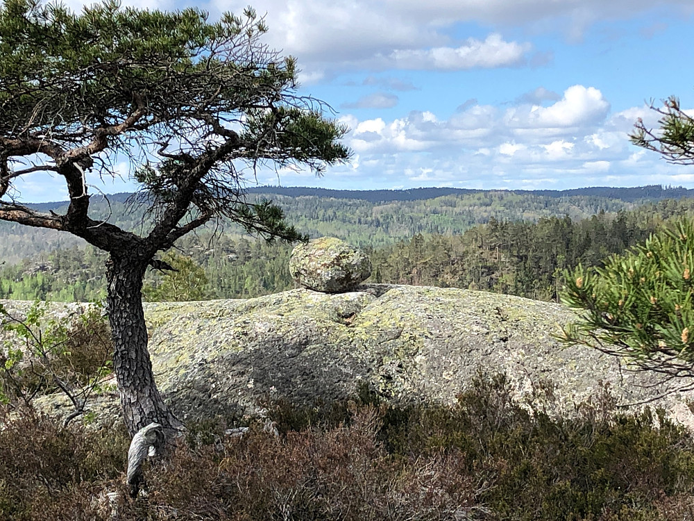 Varden på Høgsteinsheia er bare en stor stein, 30 meter vest for kommunetoppen