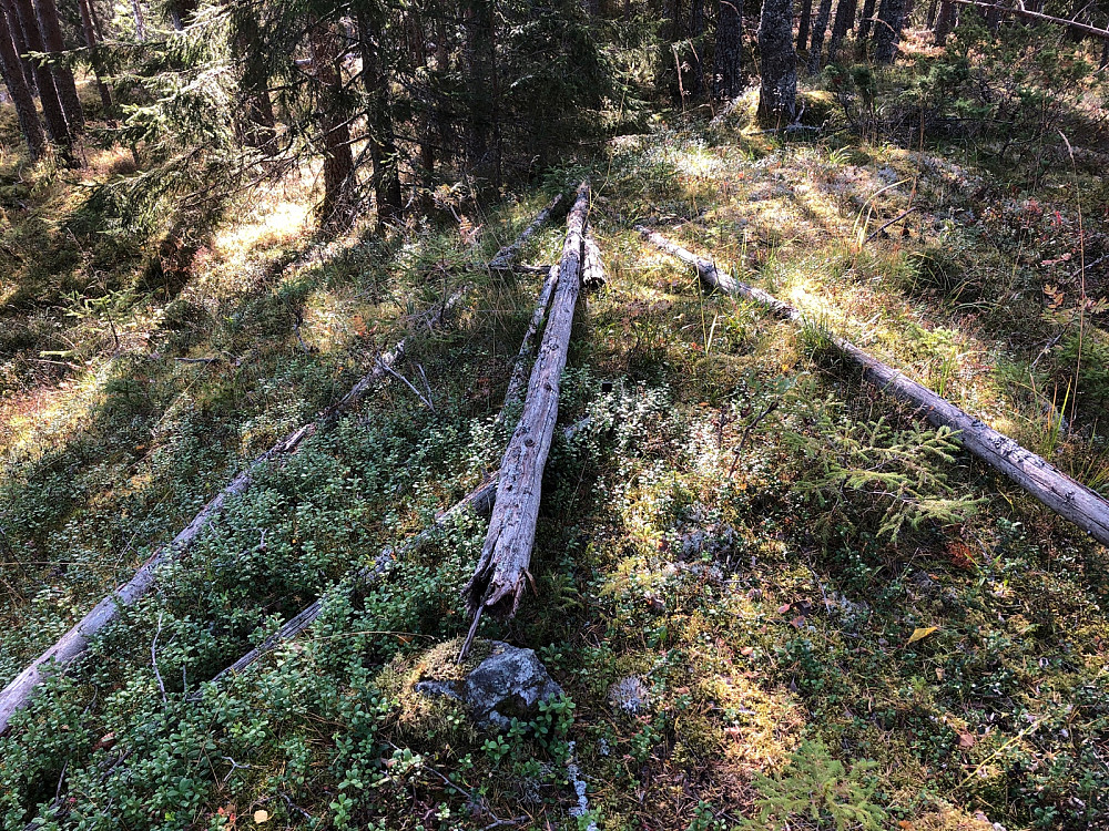 Sammenrast trig. punkt på kolle 150 sydøst for Nyseterhaugen