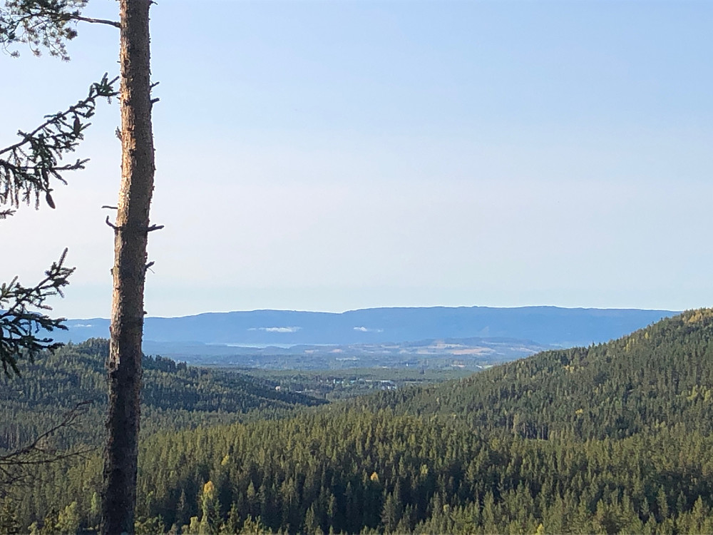 Utsikt mot Hensmoen, Røyse, Tyrifjorden og Finnemarka  fra stien mot Slåtteberget