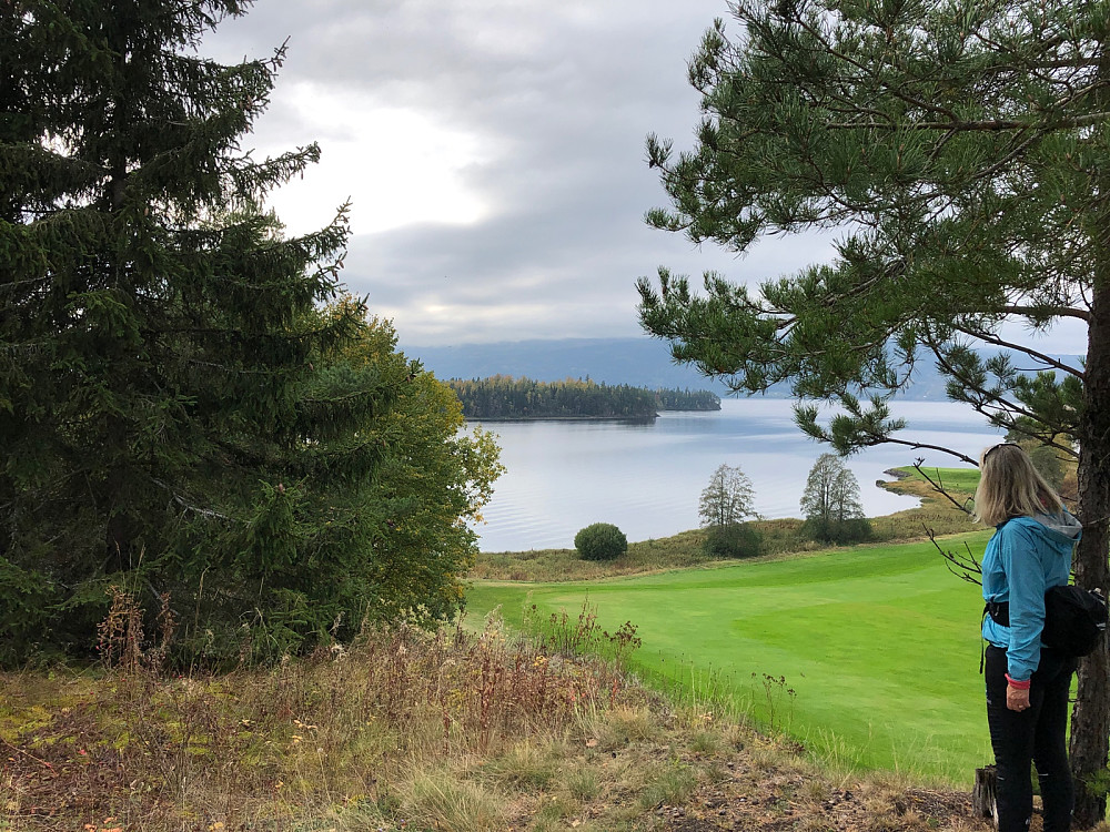 Fin utsikt ned på en del av golfbanen og Geitøya