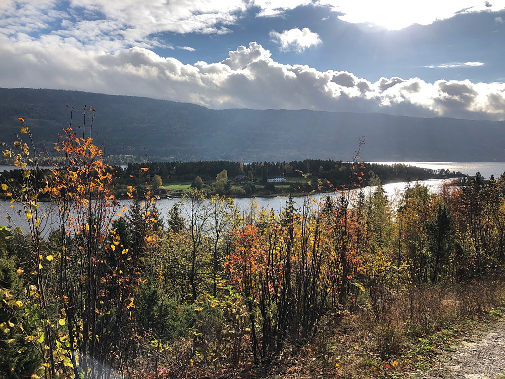 Fin utsikt mot Herøya i Steinsfjorden fra stien mot toppen