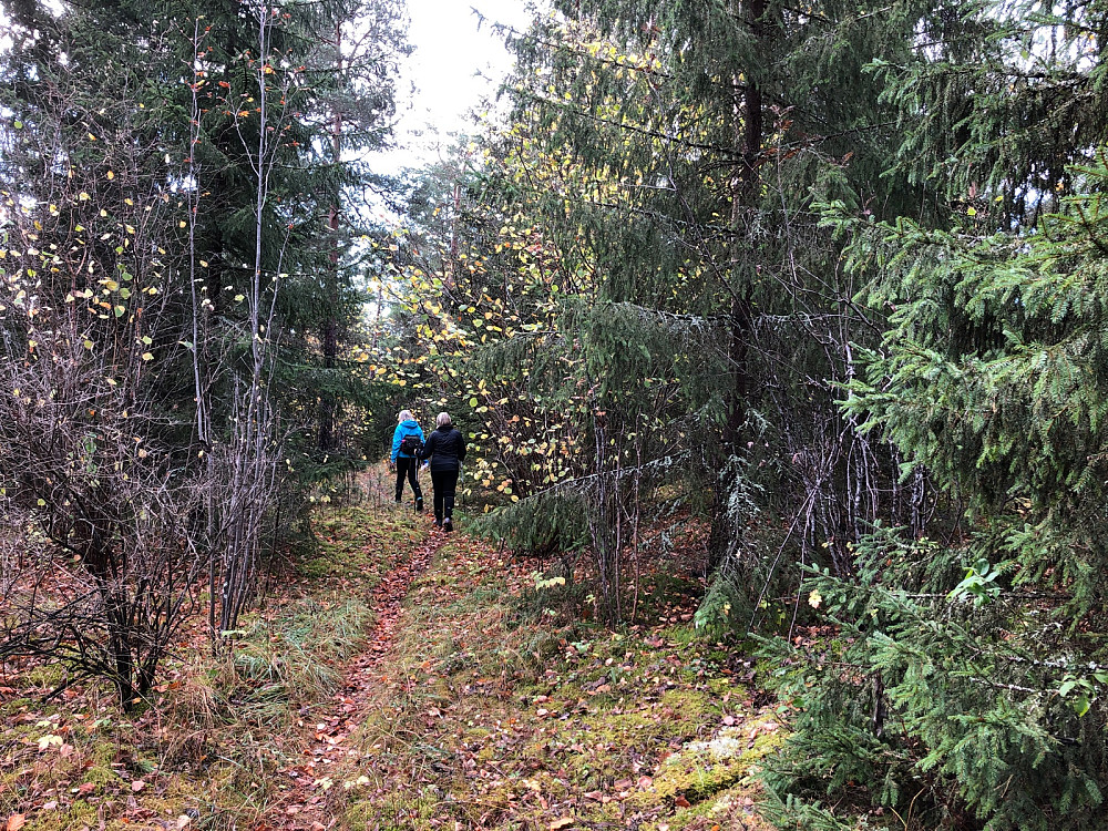 Fin sti på åsryggen av Loreåsen