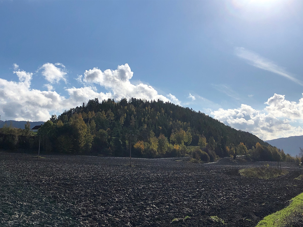 Loreåsen sett fra nord