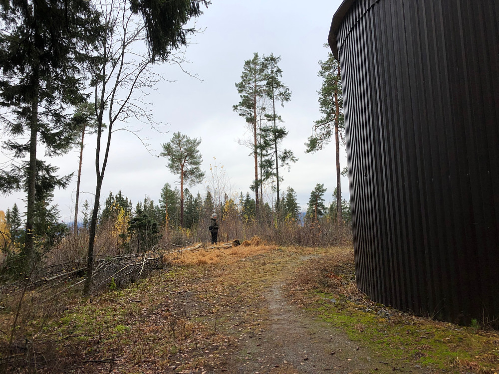 Leinåsen Vest. Den sørøstre høyden