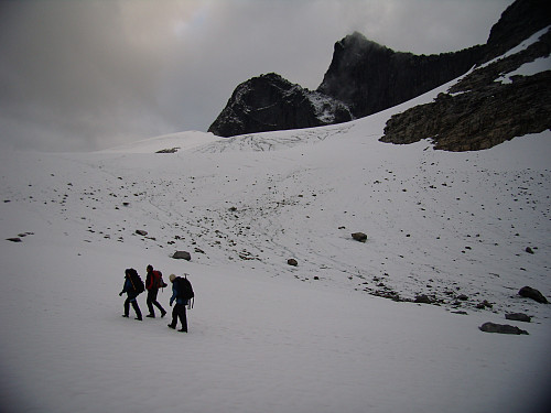 Falkebreen