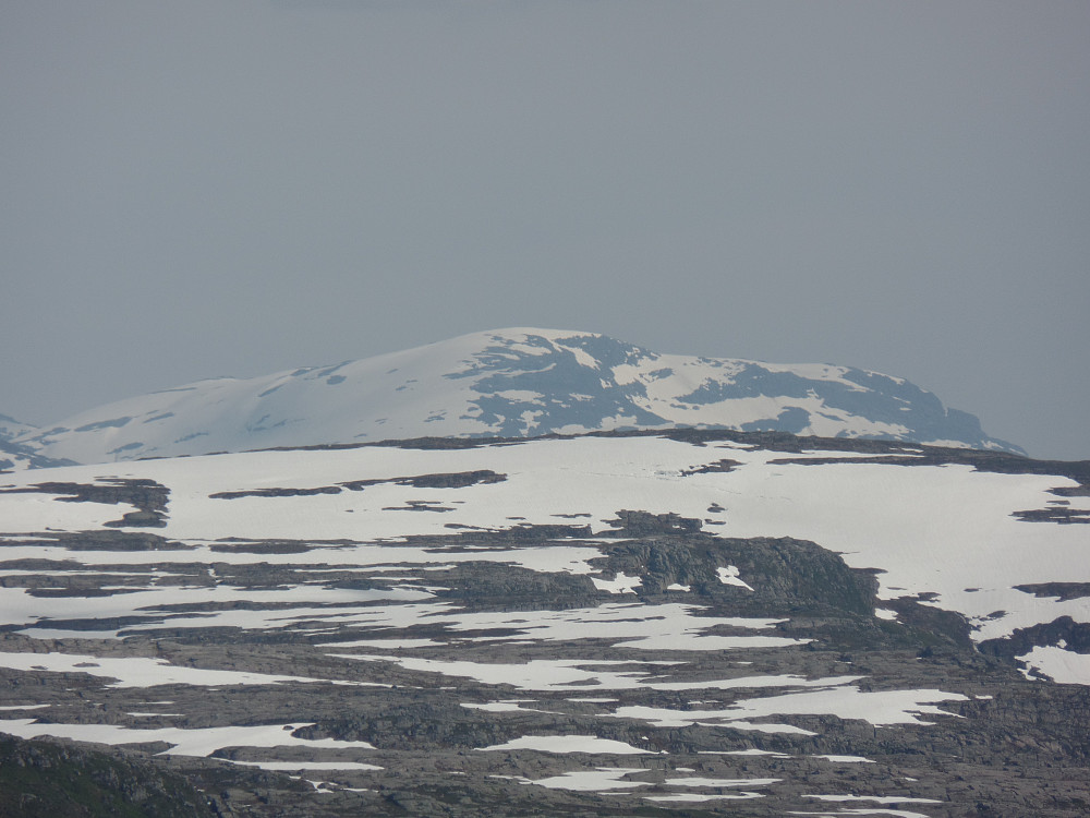 Fuglafjellet 1334 moh, høyest i Kvam, innzoomet