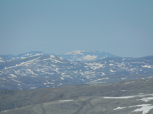 Surtningssue
