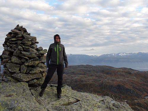 Toppvarden