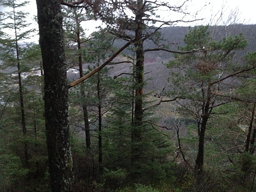 Begrenset utsikt mot Hegglandsdalen fra den skogkledde toppen av Furehaugen