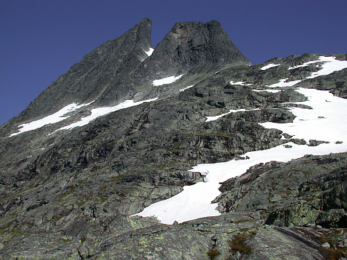 Falkenebbet og Falkungen..