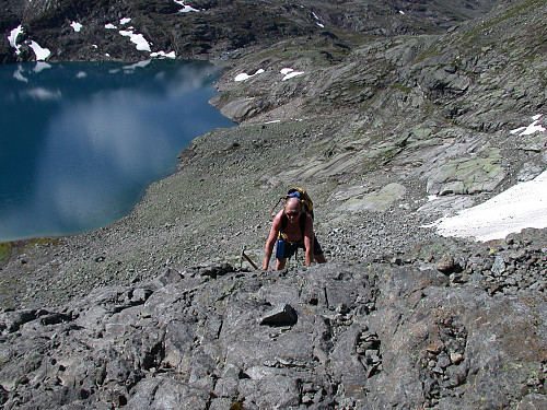 Opp Svaene