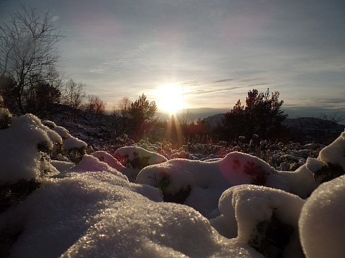 Det BLE snø denne romjulen, utrolig nok!