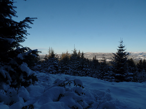 Utsikt mot NØ fra toppunkt Svekanen. Selifjellet(?) litt til hø for senter