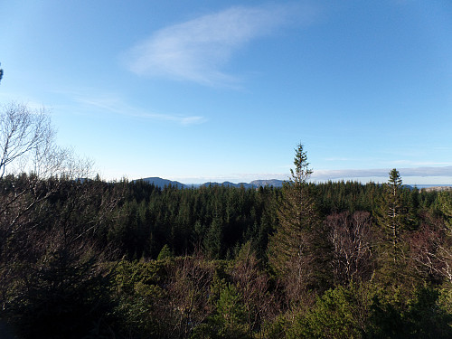 Elsåsfjellet; nok en skogstopp i Lindås. Topper i Meland såvidt synlige over tretoppene