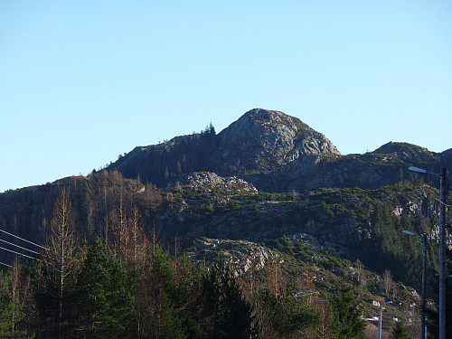 Sangoltshornet