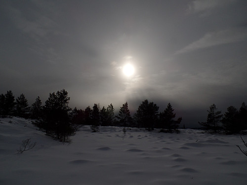 Vinterlandskap på topplatået Grimstadfjellet