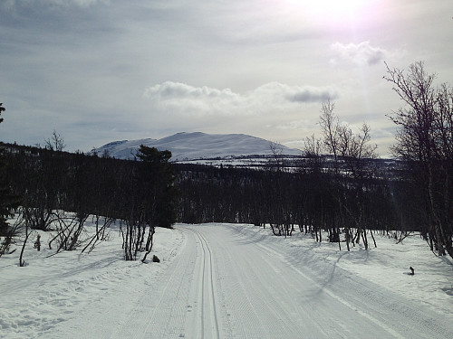 Dagens mål. Nydelig vær; enn så lenge...