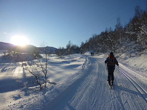 Meget lovende opp Mødalen!