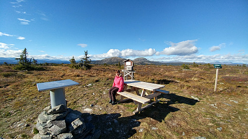 Trivelig på Skardåstøppen. Mellene i bakgrunnen