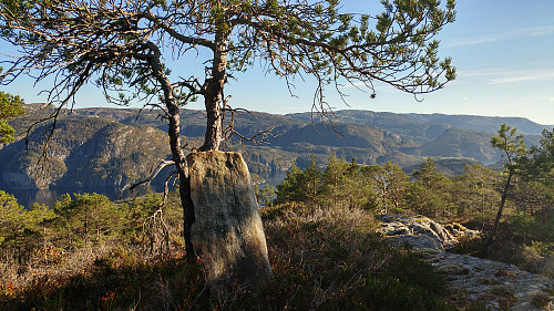 Storegjelsknausen, høyest på Paddøy