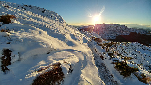 Vinterlig i novembersol!