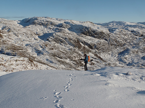 Sørryggen, verste bratten unnagjort.