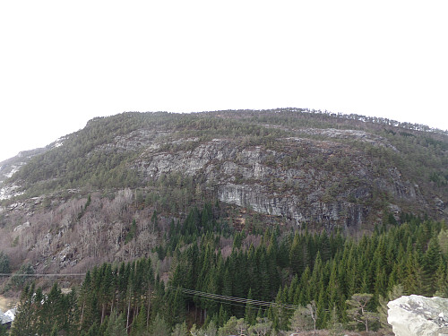 Håvikamulen