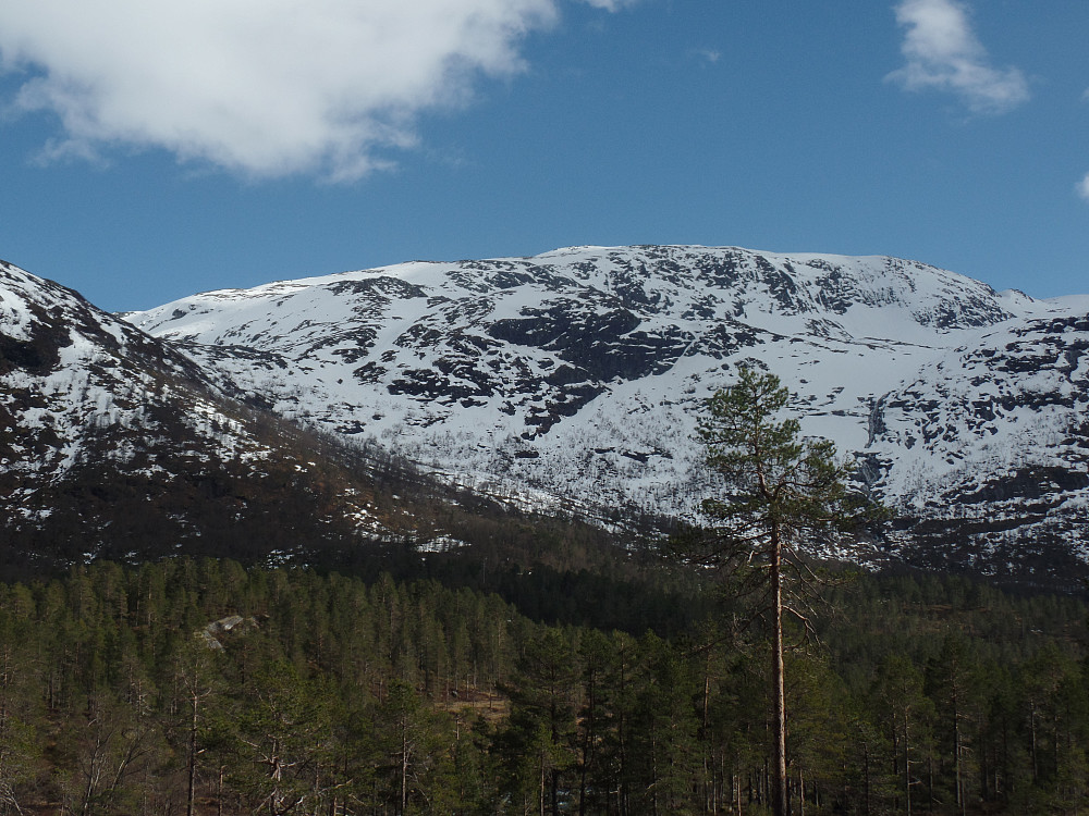 Geitebotsfjellet sett fra Hov