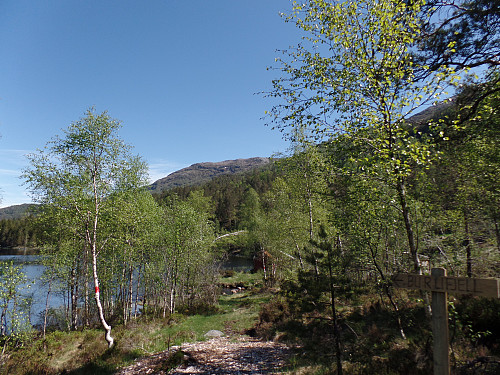Rett etter start. Burlifjellet i sikte