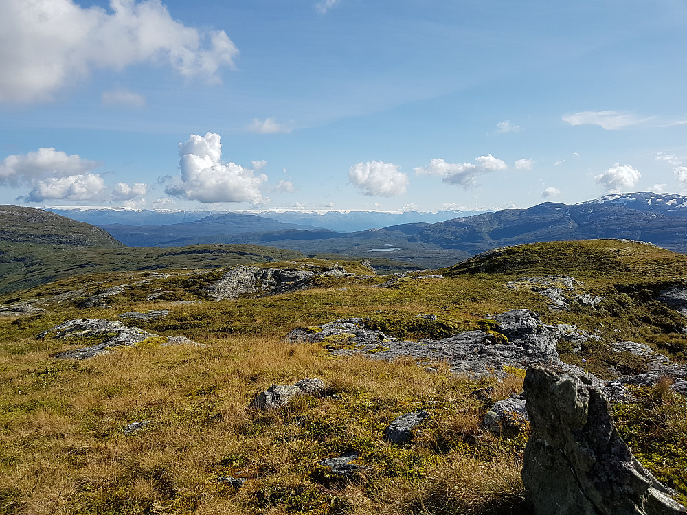 Toppstein Flæfjellet