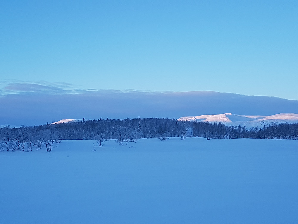 Langehovda flankert av Skutshødn og Vennisfjell
