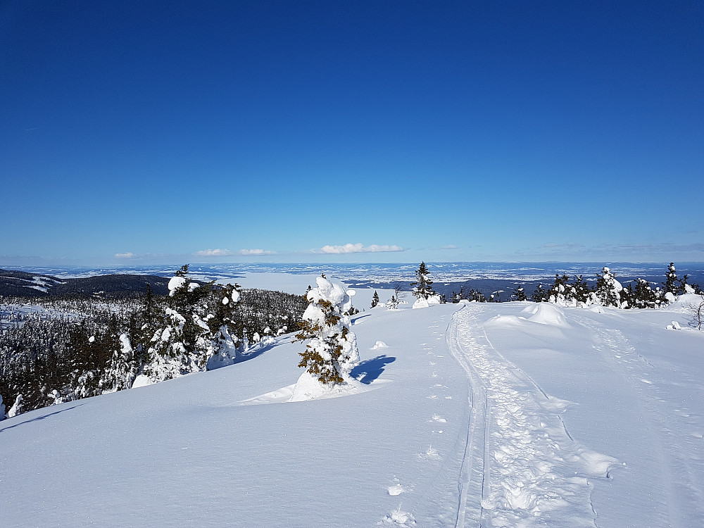 Utsikt fra toppen mot nord, bl.a. Mjøsa