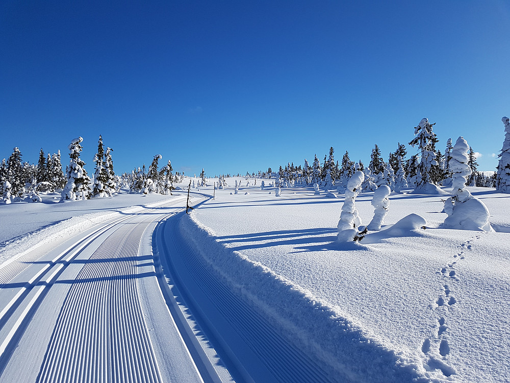 Landskapet åpner seg opp