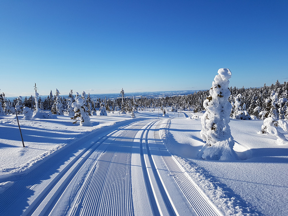 Vid utsikt mot nordvest drøye 500m NV for toppen