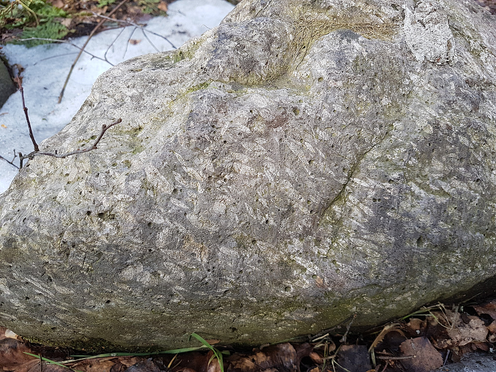 Rombeporfyr; klassisk eruptivbergart fra "Oslofeltet"