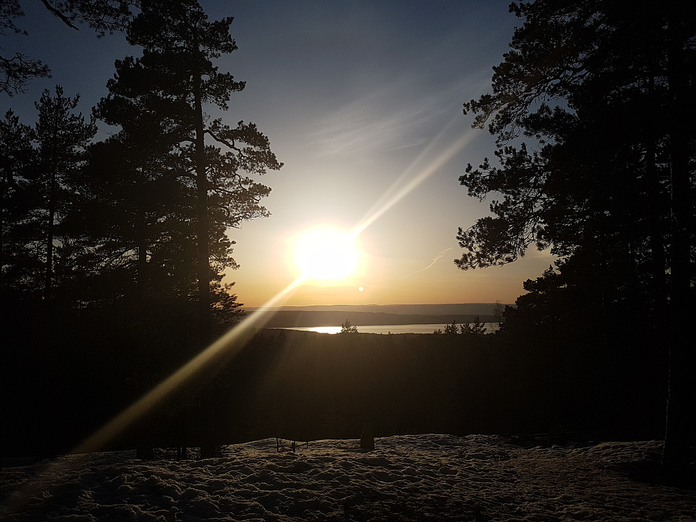 Utsikt vest fra Grønliåsen, ca en halv km nord for Tårnåsen