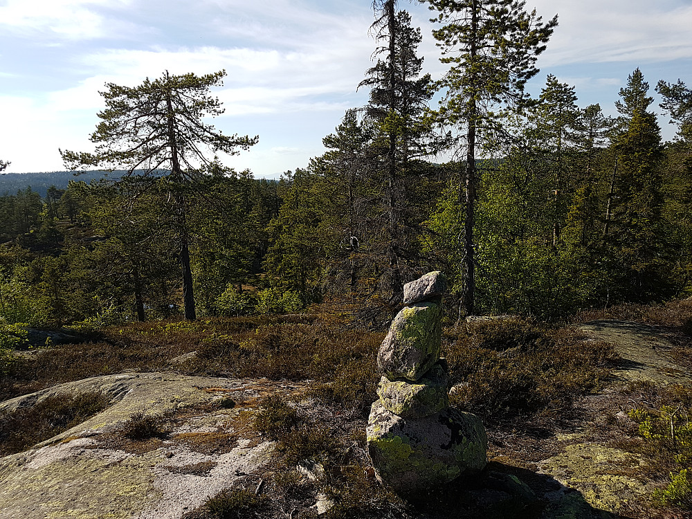 Sørøst for Bjørnkollen; høyest i Lier kommune