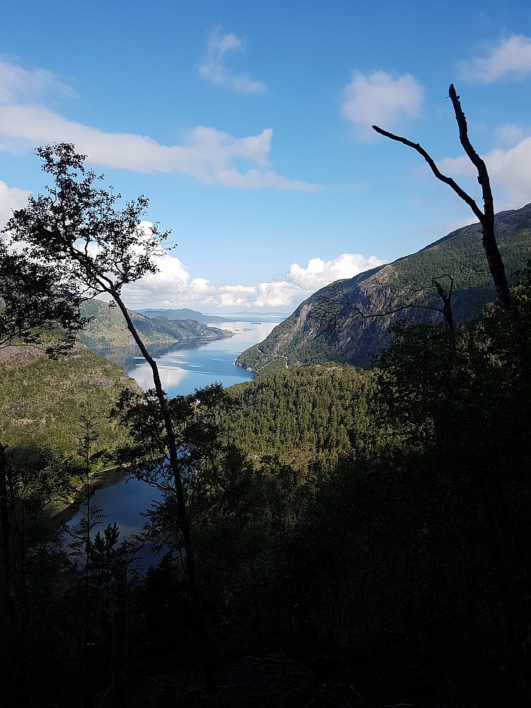 Utsikt mot Austefjorden noe før kryssing av Stegafossen