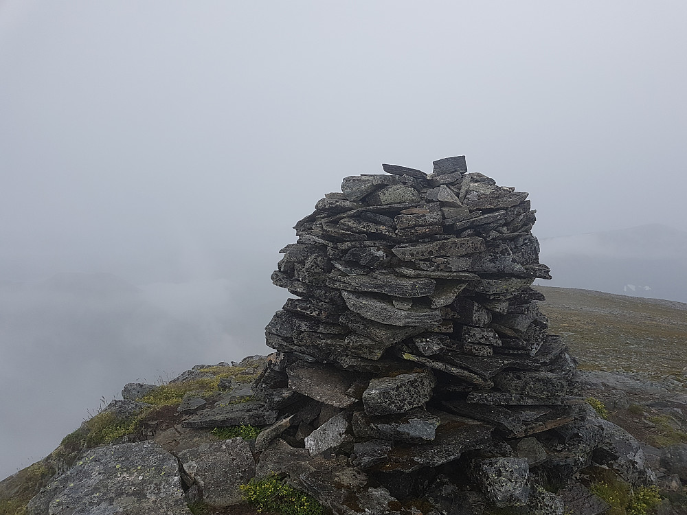 Kvannfjellet 981 moh
