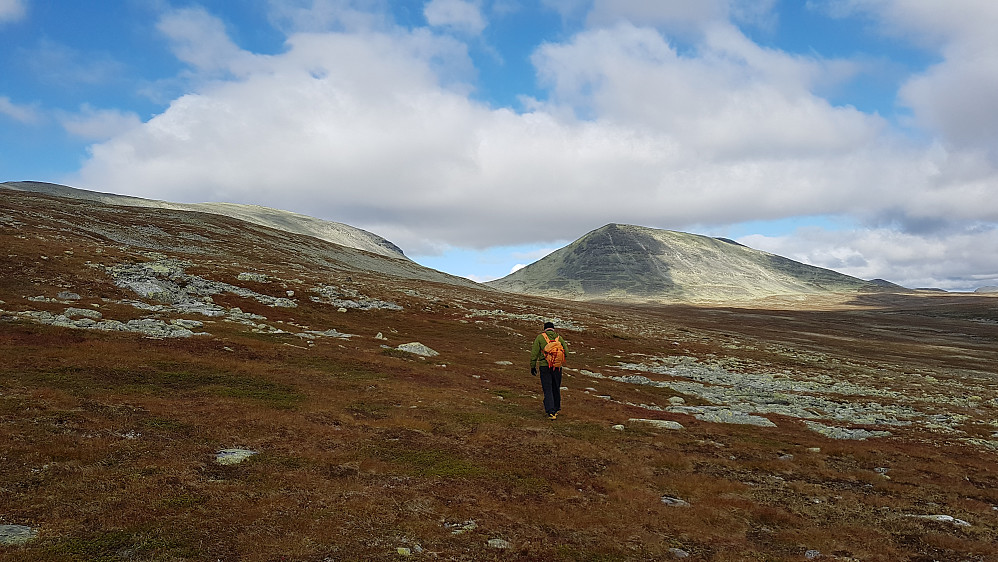 Knut Sverre med stø kurs mot Gravskardet