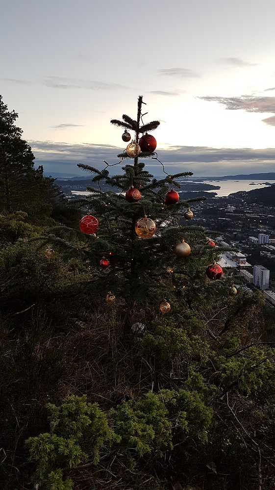 Her har noen juleglade mennesker pyntet et lite tre halvveis opp i vestflanken av Lyderhorn:)
