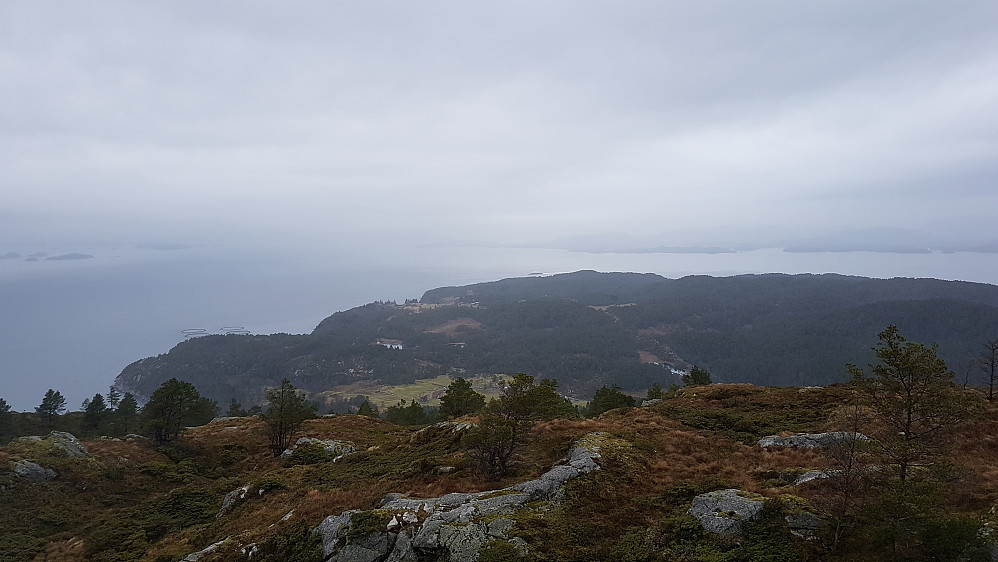 Grått og disig mot Bjørnafjorden. Fergen Halhjem-Sandvikvåg kan såvidt skimtes ca midt i bildet.