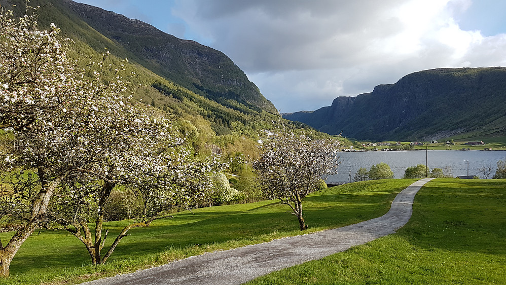 Utsikt mot Andvika